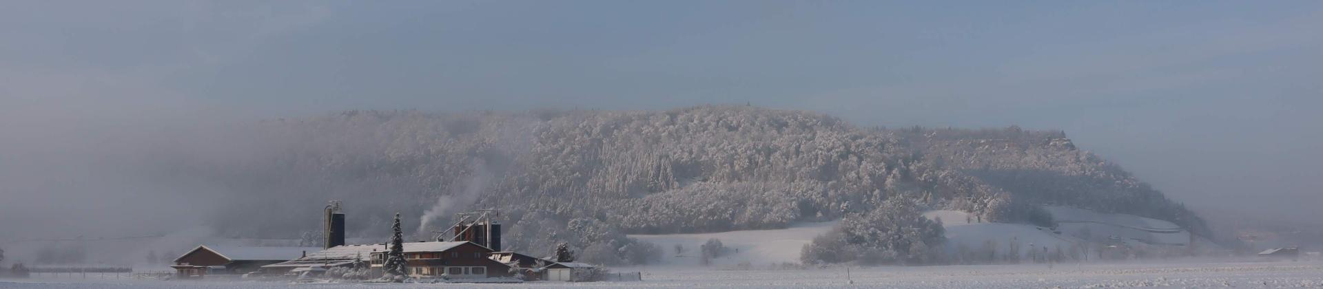 Breitihof im Schnee